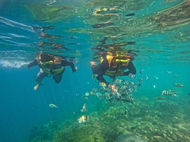 Snorkeling Gili Nanggu Lombok